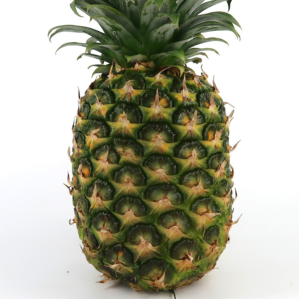 고당도 골드 파인애플 중과